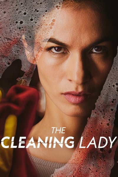 The Cleaning Lady S02E04 1080p HEVC x265-MeGusta